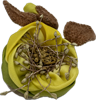 Брошь "Шелковый цветок" Чайная Роза - фото 7254